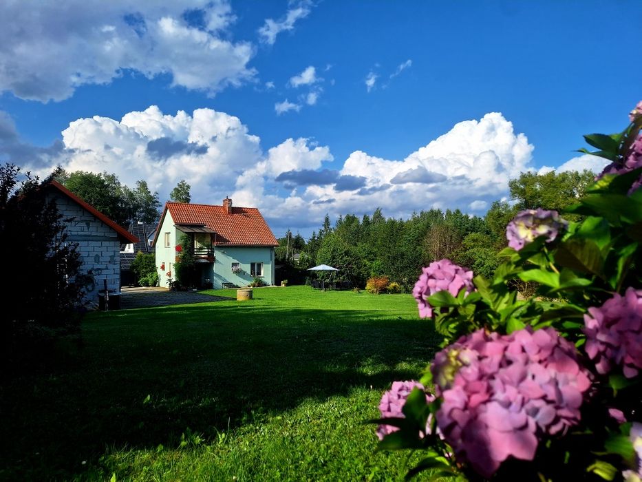 Mazury Urokliwy dom z dużą działką i ogrodem w pobliżu jezioro