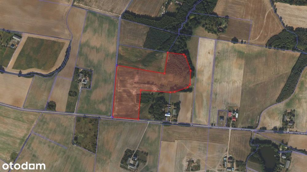 Nowa, Niższa Cena! Na Sprzedaż Działka Rolna 3,5 Ha