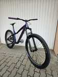 Rower Dartmoor Hornet Pro, dirt, street, slope, mullet