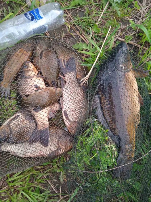 Рибалка / риболовля