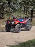 Suzuki lt250f quadrunner