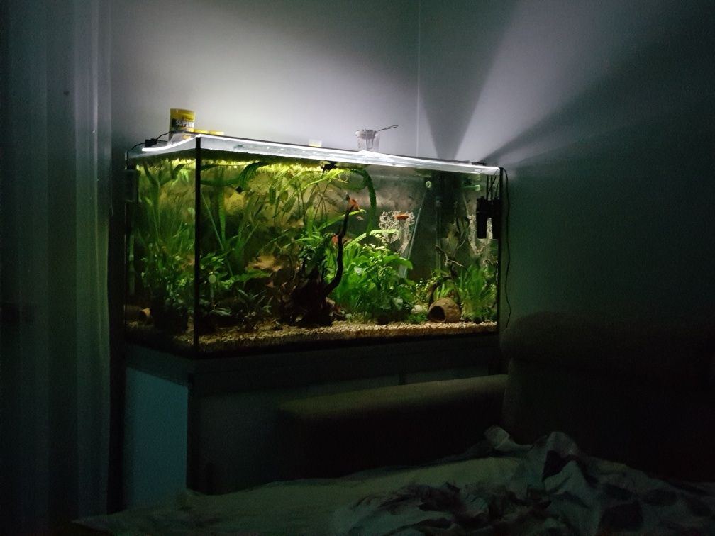 Sprzedam akwarium 360 litrów