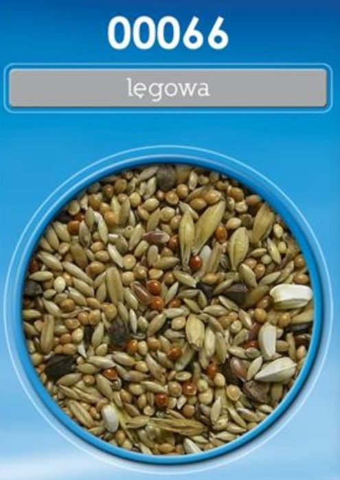 Karma dla średniej papugi Lęgowa 1kg