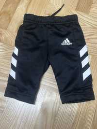 Spodnie firmy adidas