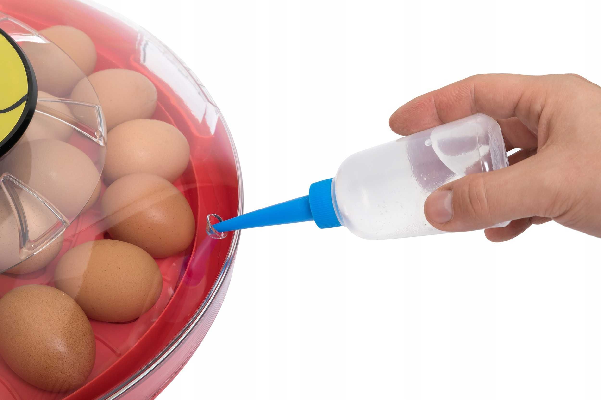 Inkubator na 30 jaj klujnik