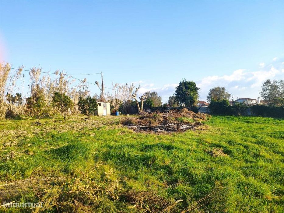 Terreno para construção, São Martinho da Árvore