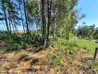 Terreno para construção com 900 m2 em Vinhós