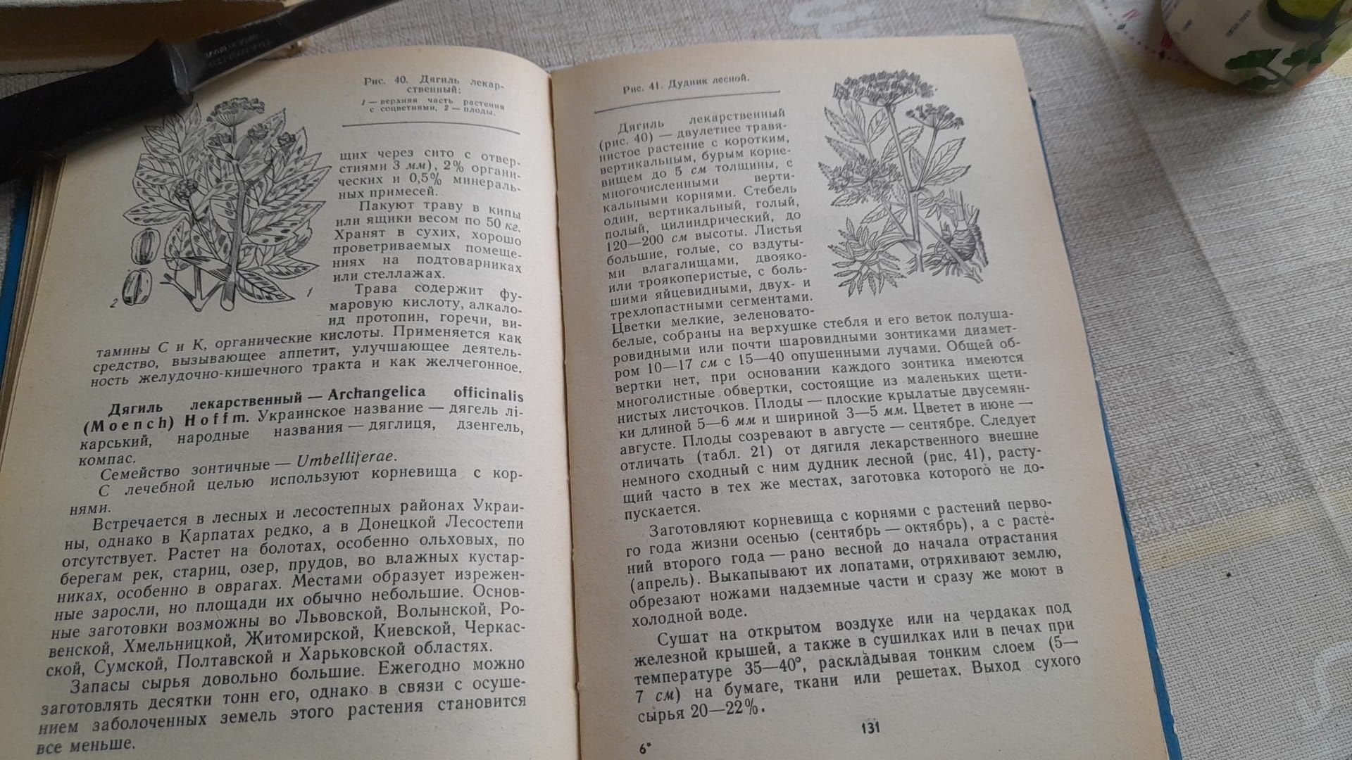 Книга Лекарственные растения Украины