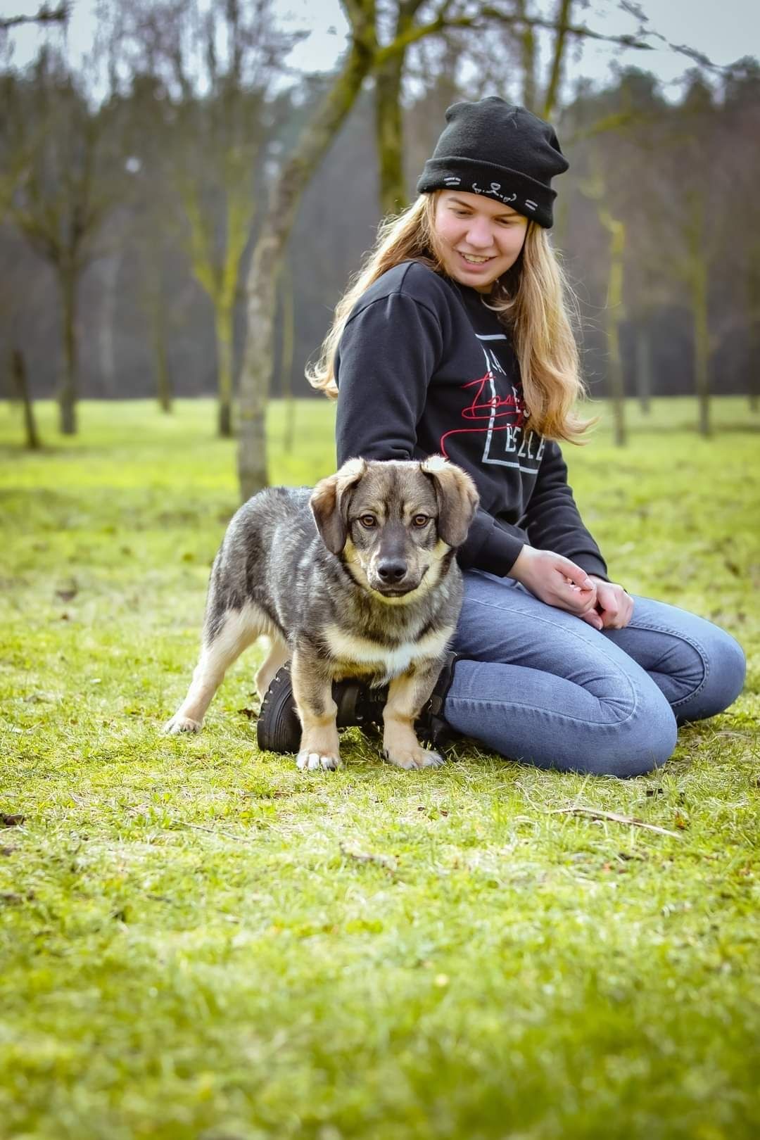 Podrośnięty Szczeniak szuka Domu! Słodki maluch do adopcji!