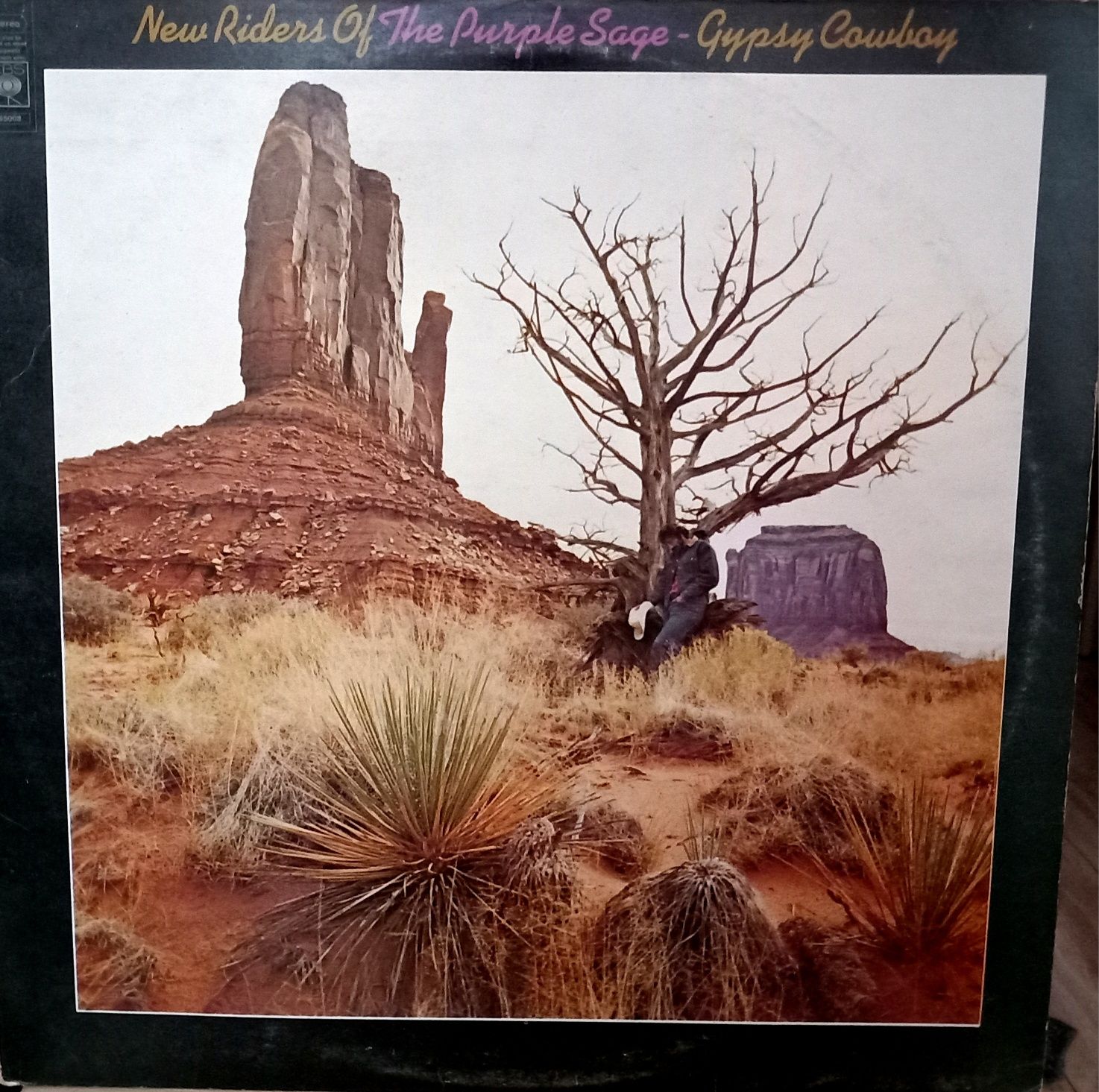 New Riders Of The Purple Sage GypsyCowboy LP Winyl US EX