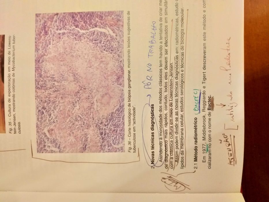 Pneumologia na pratica clinica 3 edição - M. Freitas e Costa