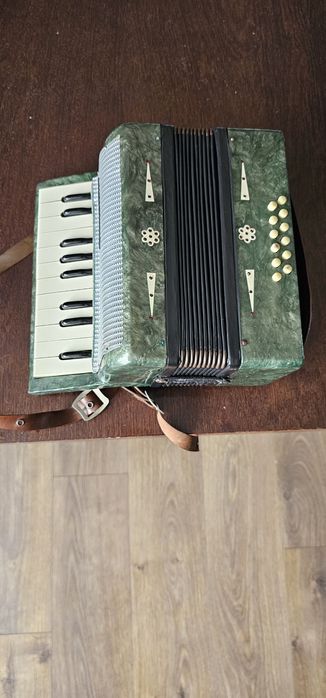 Akordeon dla dzieci