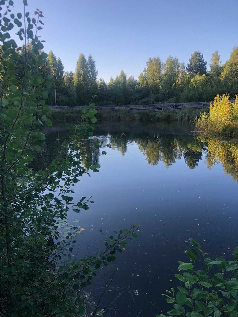 Дачна ділянка пів гектара з власним озером в оточенні ліса