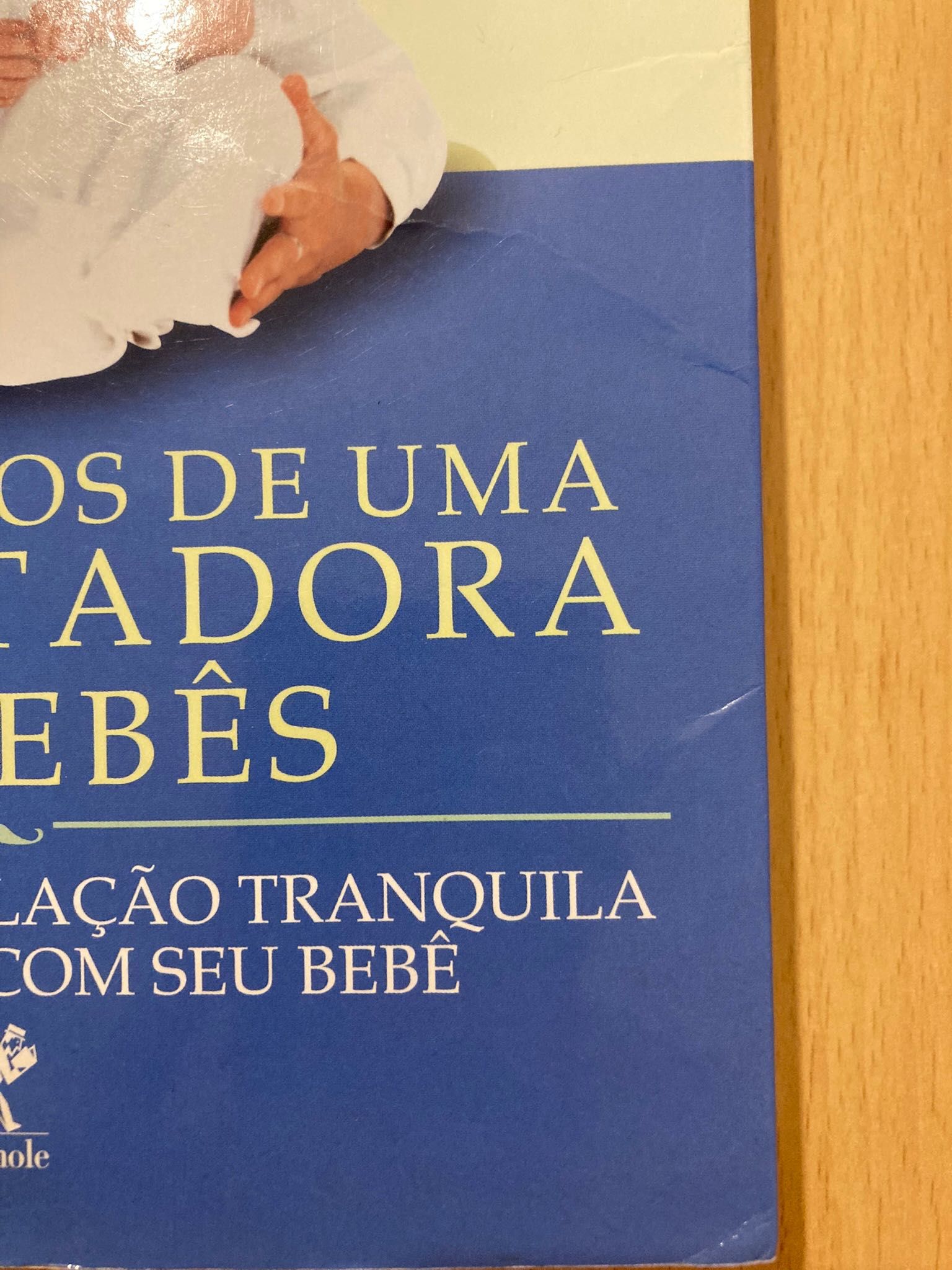 Tire suas dúvidas com a Encantadora de Bebés! (Livro)