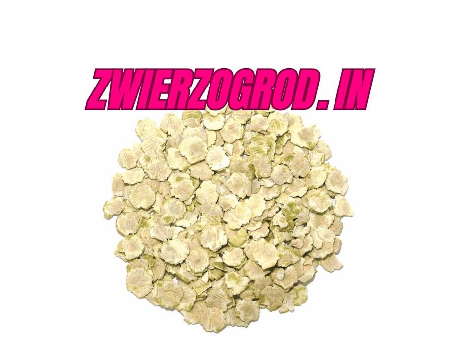 MDM Płatki grochu dla zwierząt królik gryzoń 2,5kg **zwierzogrod.in **