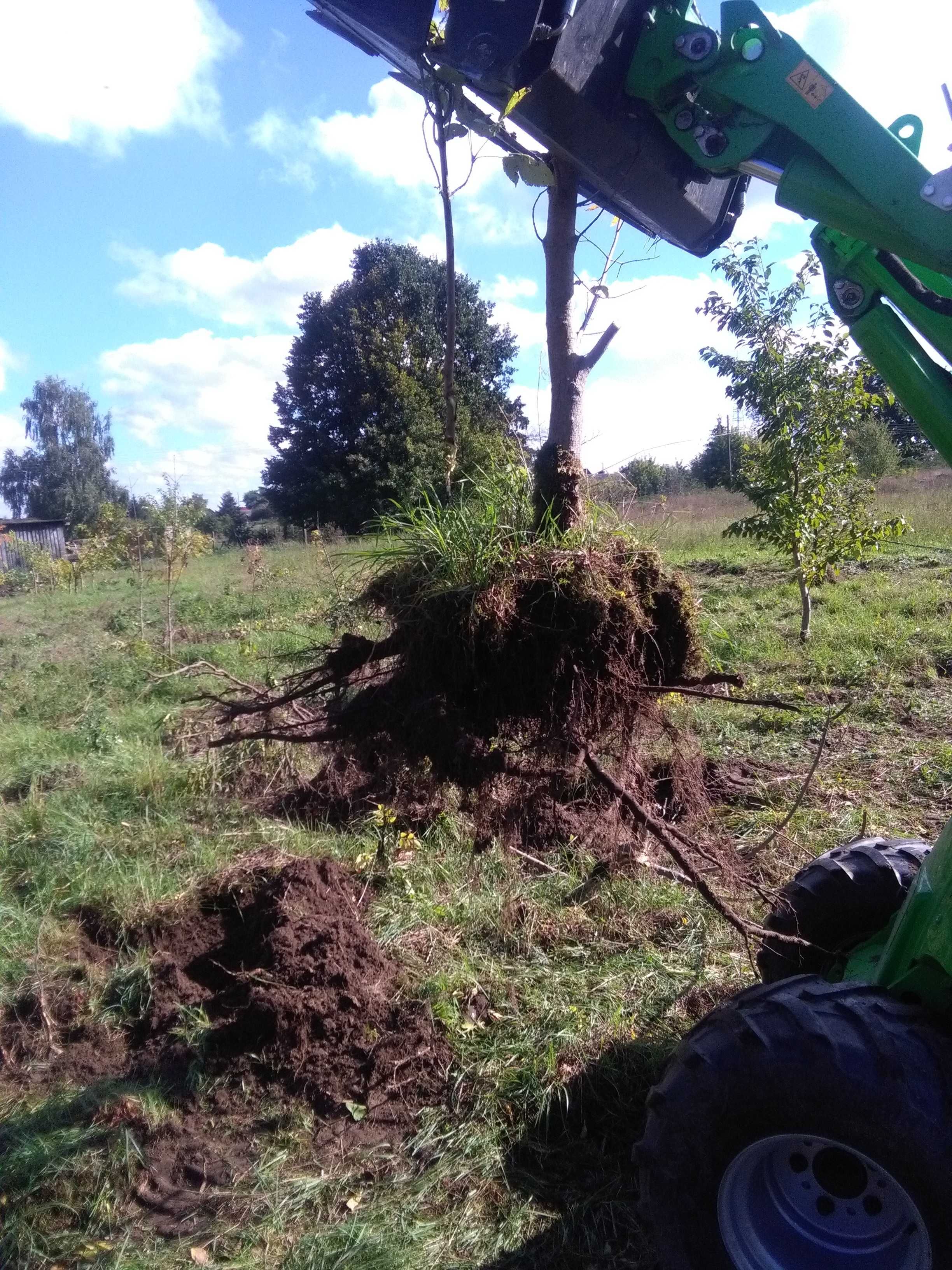 Usługi ogrodnicze, prace ziemne, mini ładowarka AVANT, wiertnica.
