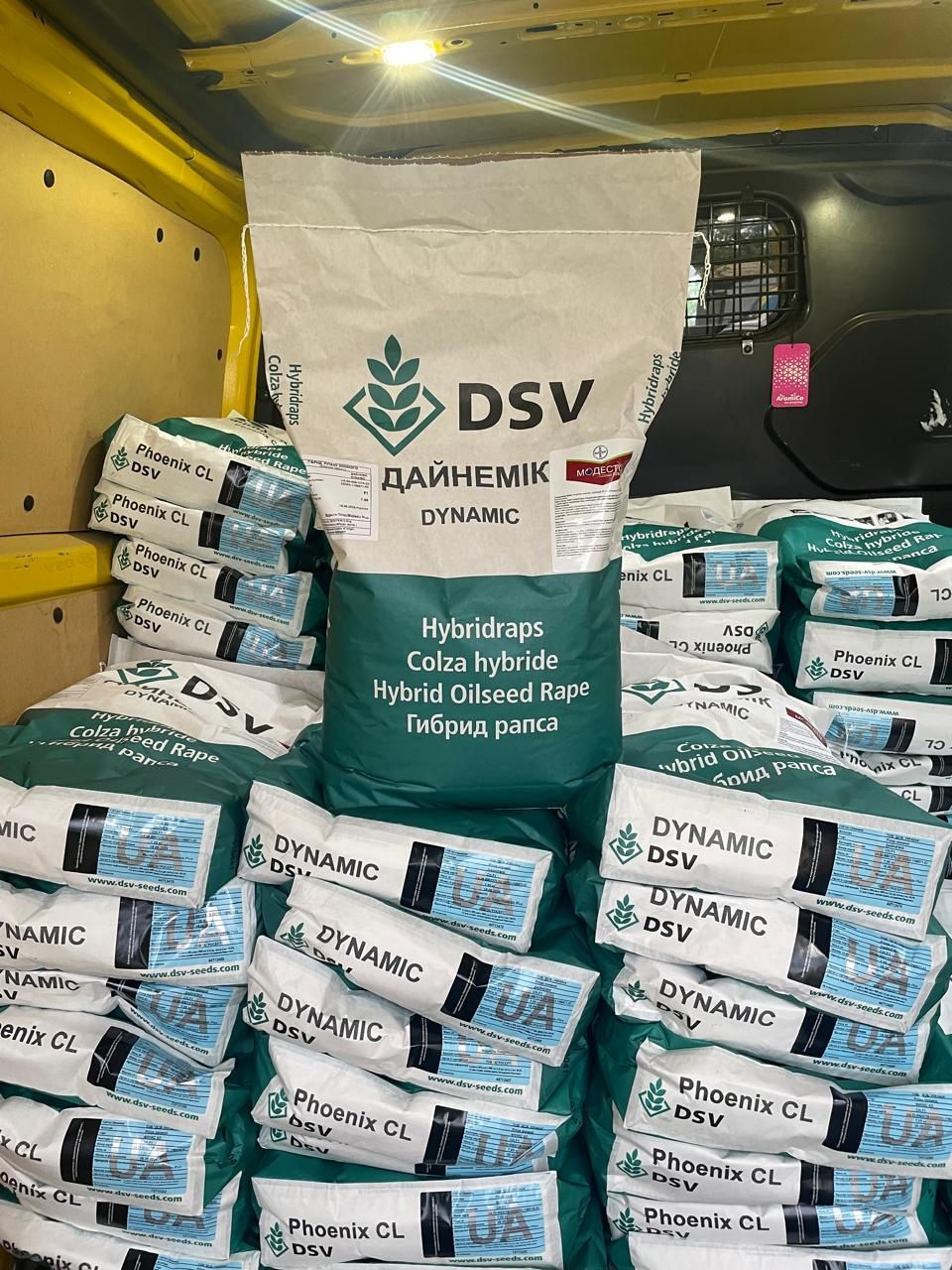 Ріпак озимий дайнемік DSV