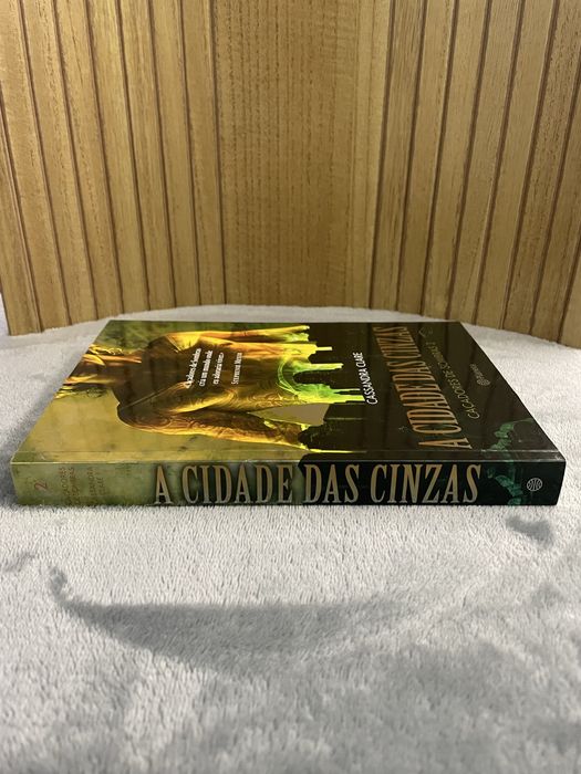 Livro a cidade das cinzas