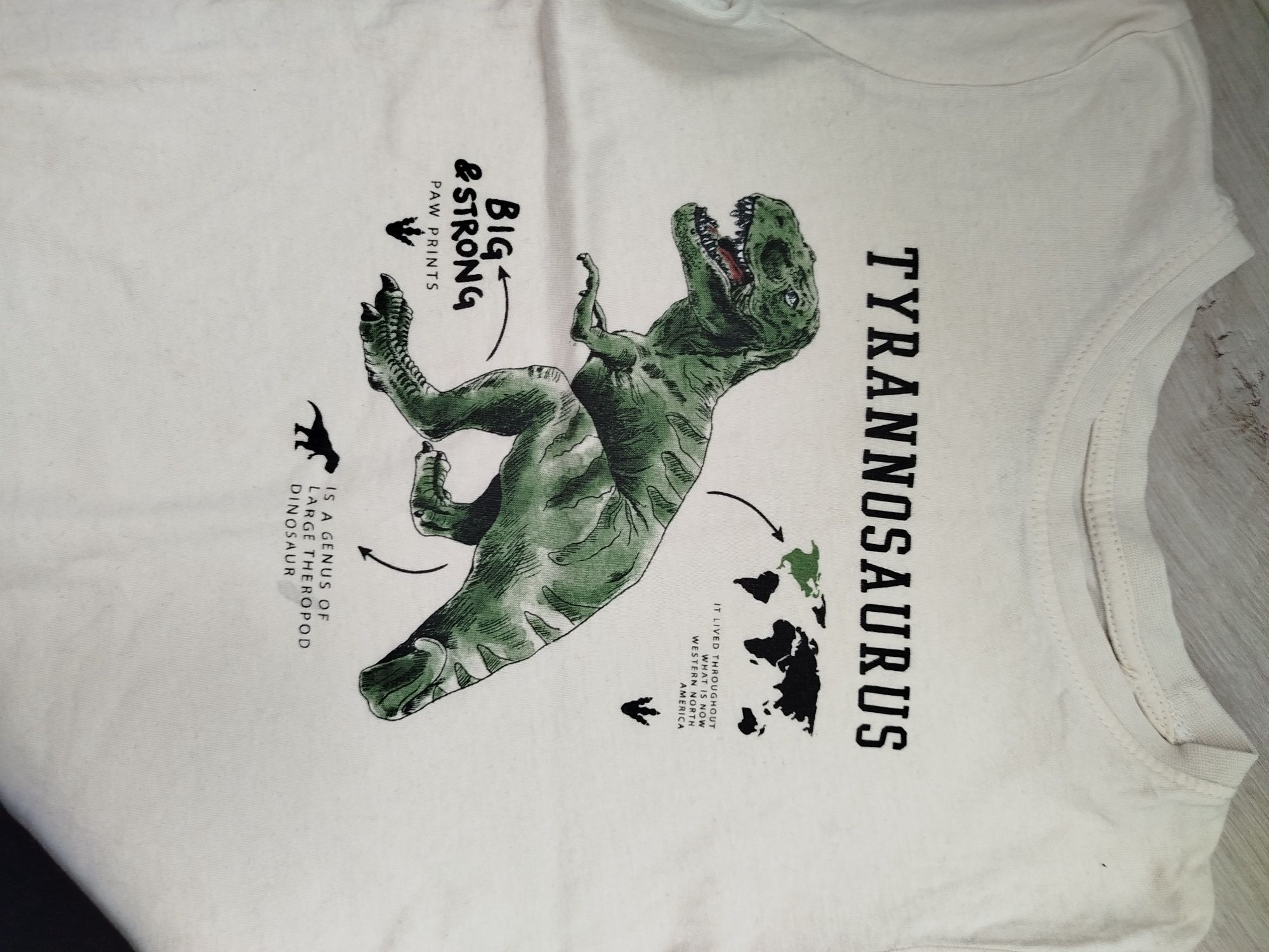 Koszulki 98 cm dinozaury