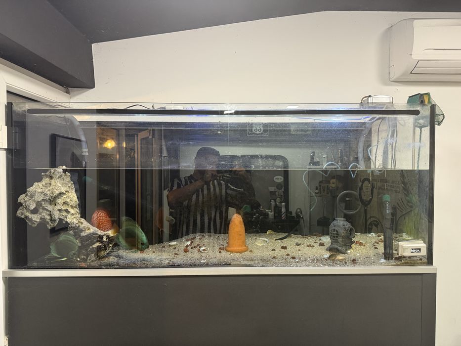 Aquario 450L 150x60x50