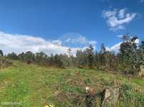 Terreno  para venda