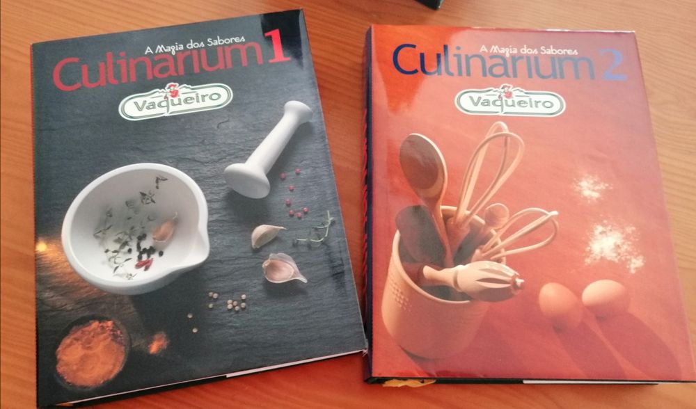 Livros Vaqueiro novos