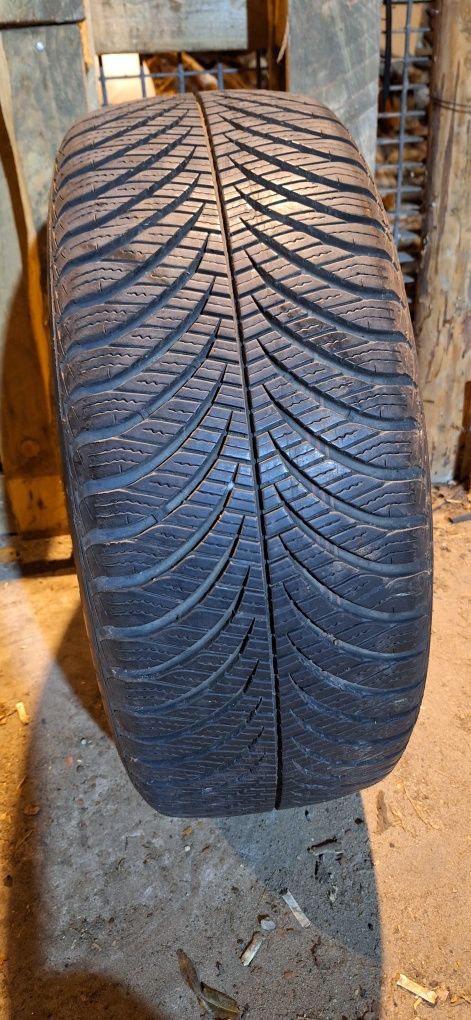 Opona 205/55R16 Godeyar Całoroczna