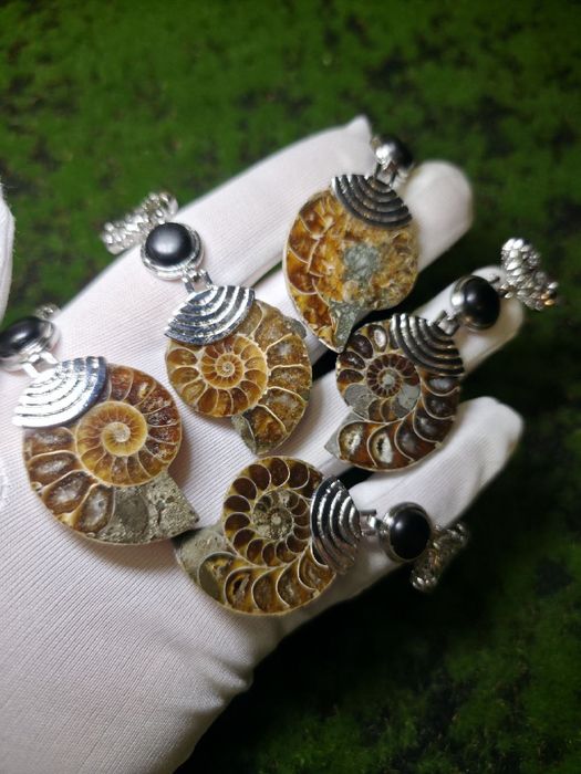 Підвіски з натурального амоніту та мінералом,амулет,амоліт.скам'янілі