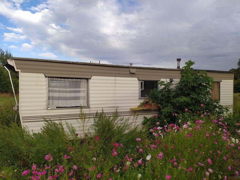 Domek holenderski 800×300