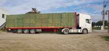Vende-se Feno 150/ton