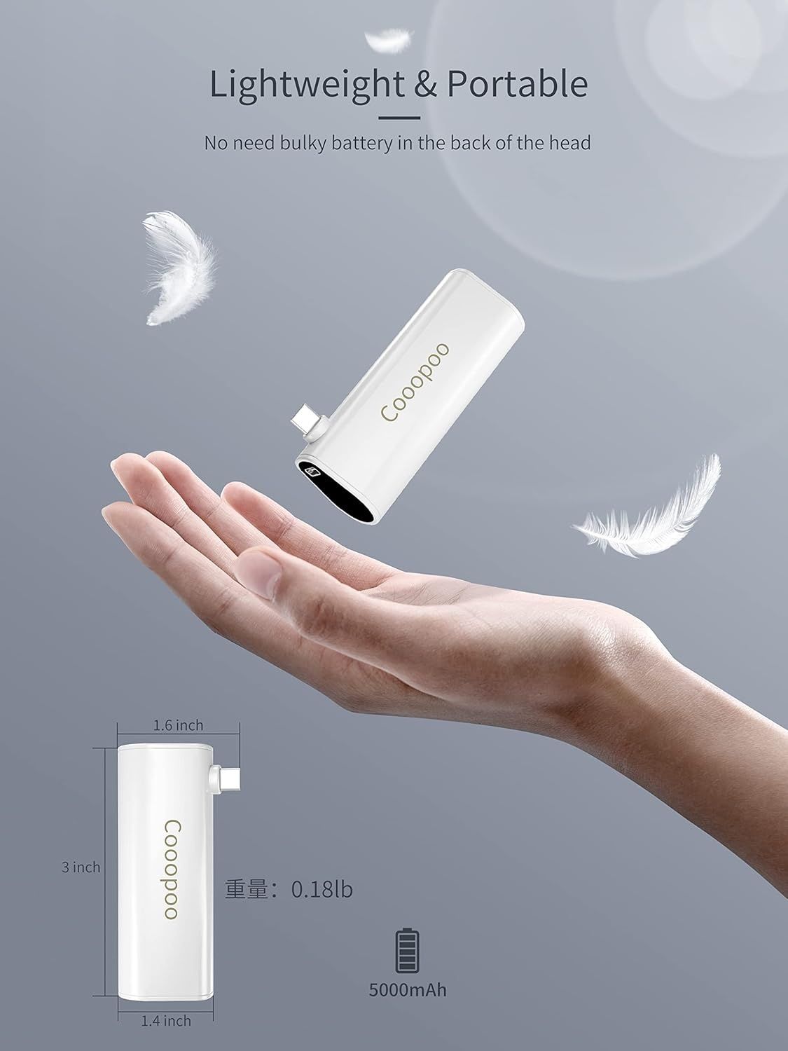Powerbank 5000MAh x 2