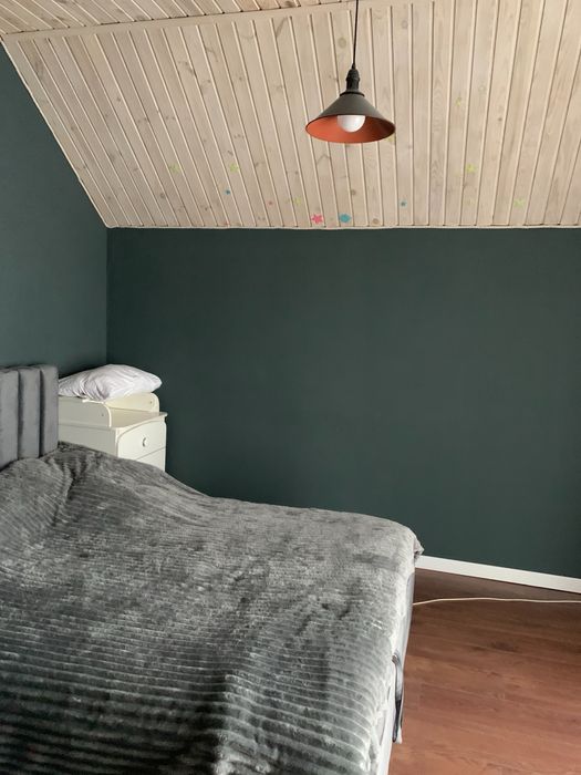 Котедж з ремонтом 120м2 с.Крушинка в 16км від Києва