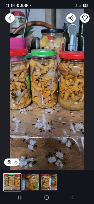 2 słoiki gąsek i kurek marynowanych