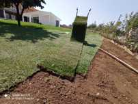 Relva artificial / relva natural / construção de jardins de raiz