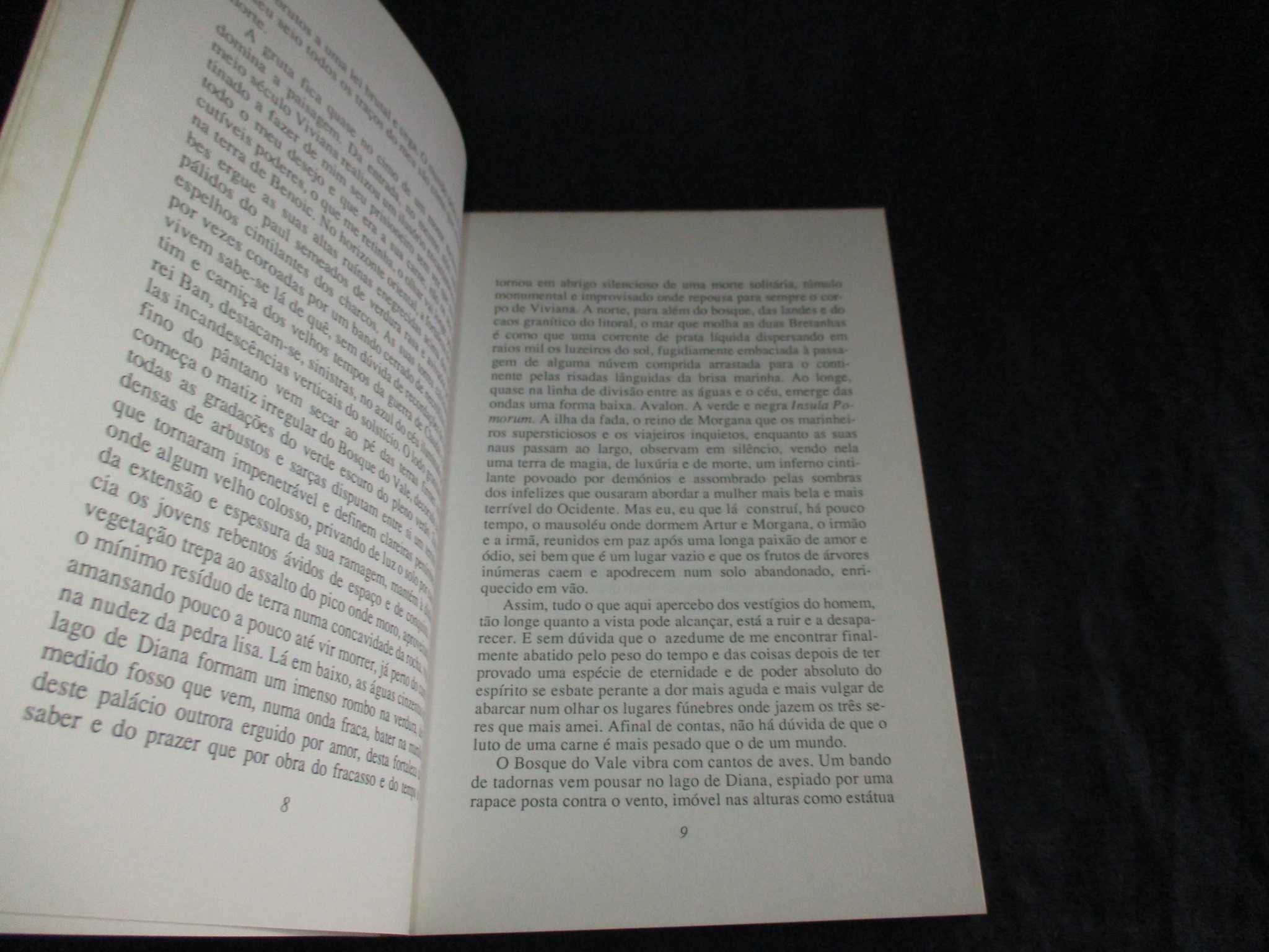 Livro Merlim Michel Rio