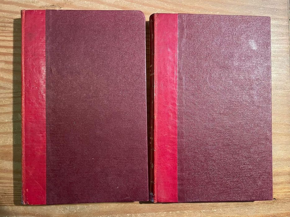 2 livros - José Mauro de Vasconcelos (portes grátis)