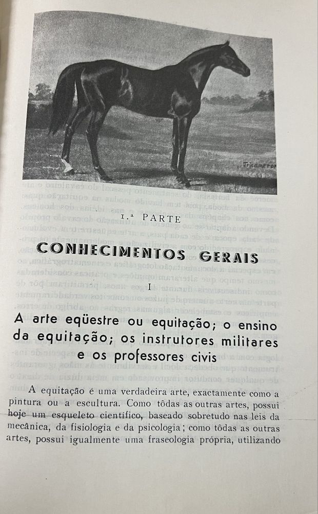 Notas e Refleções Equestres