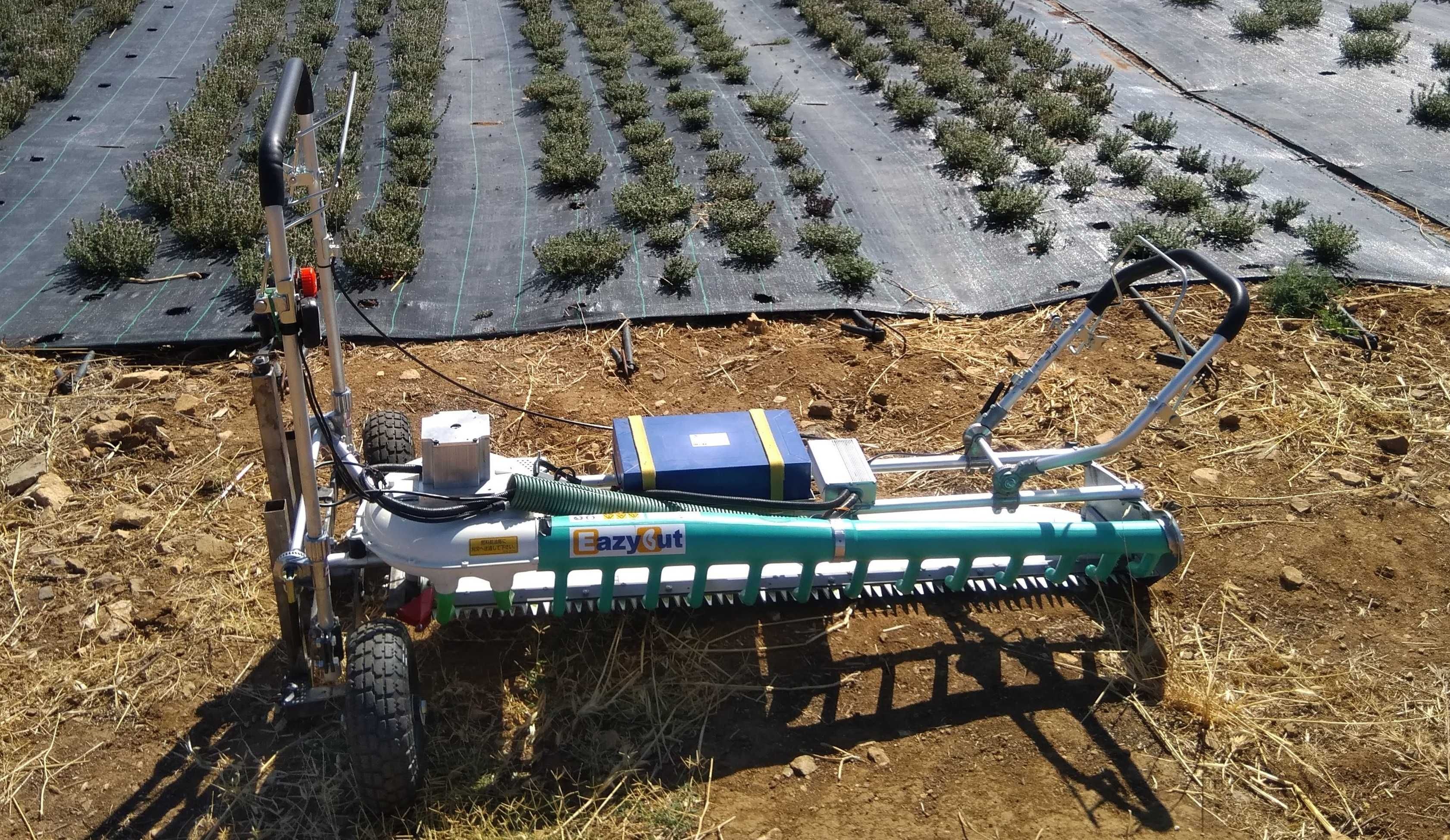 Máquina de corte e colheita a bateria para plantas aromáticas