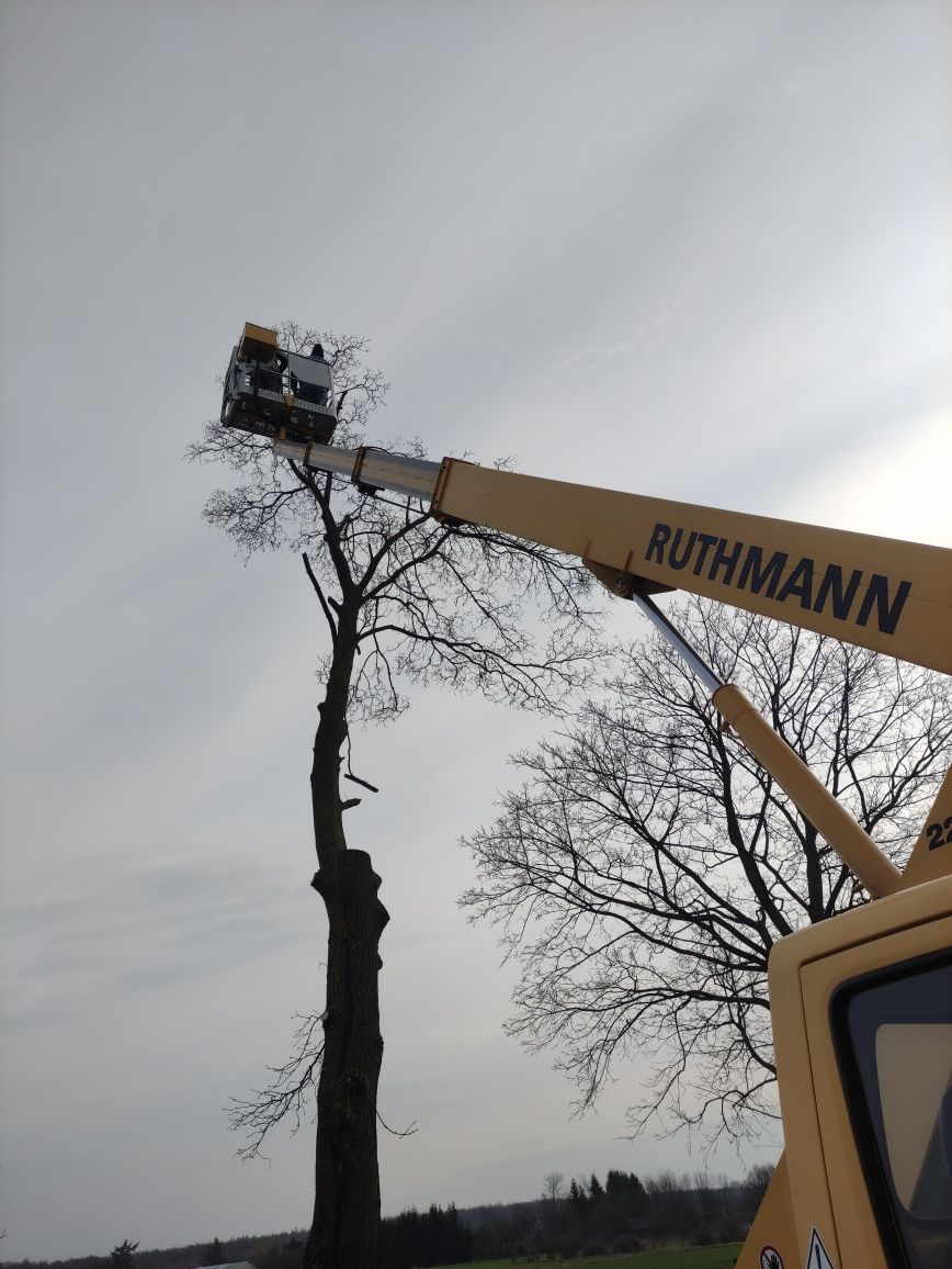 Wycinka Drzew Usługi Zwyżką Podnośnikiem koszowym 22m