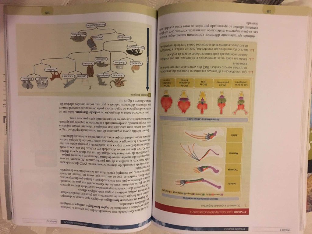 Manual biologia 11 ano s/ portes de envio