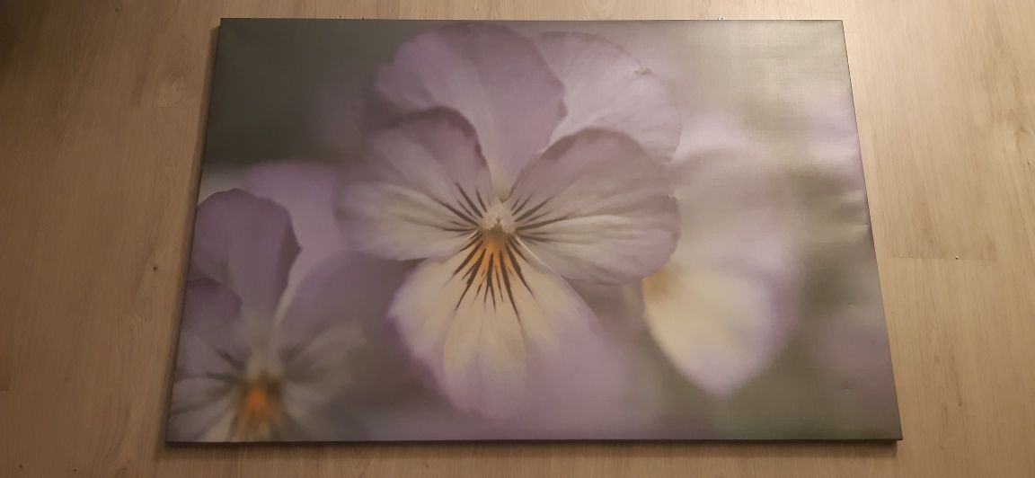 Quadro 120 x 80 cm flor cor roxa purpora