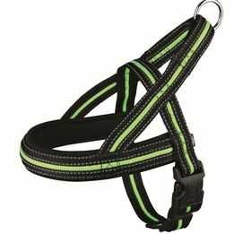 Peitorais variados para cão