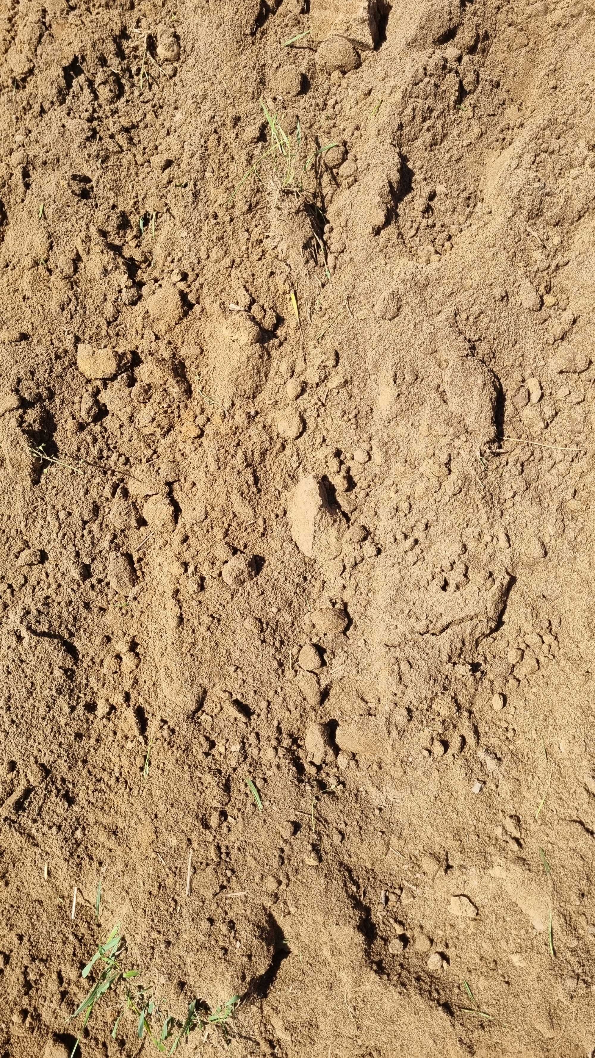 Ziemia, Humus, Piach na trawniki, Żwir, Drenaż, Kruszywo, Plantowanie