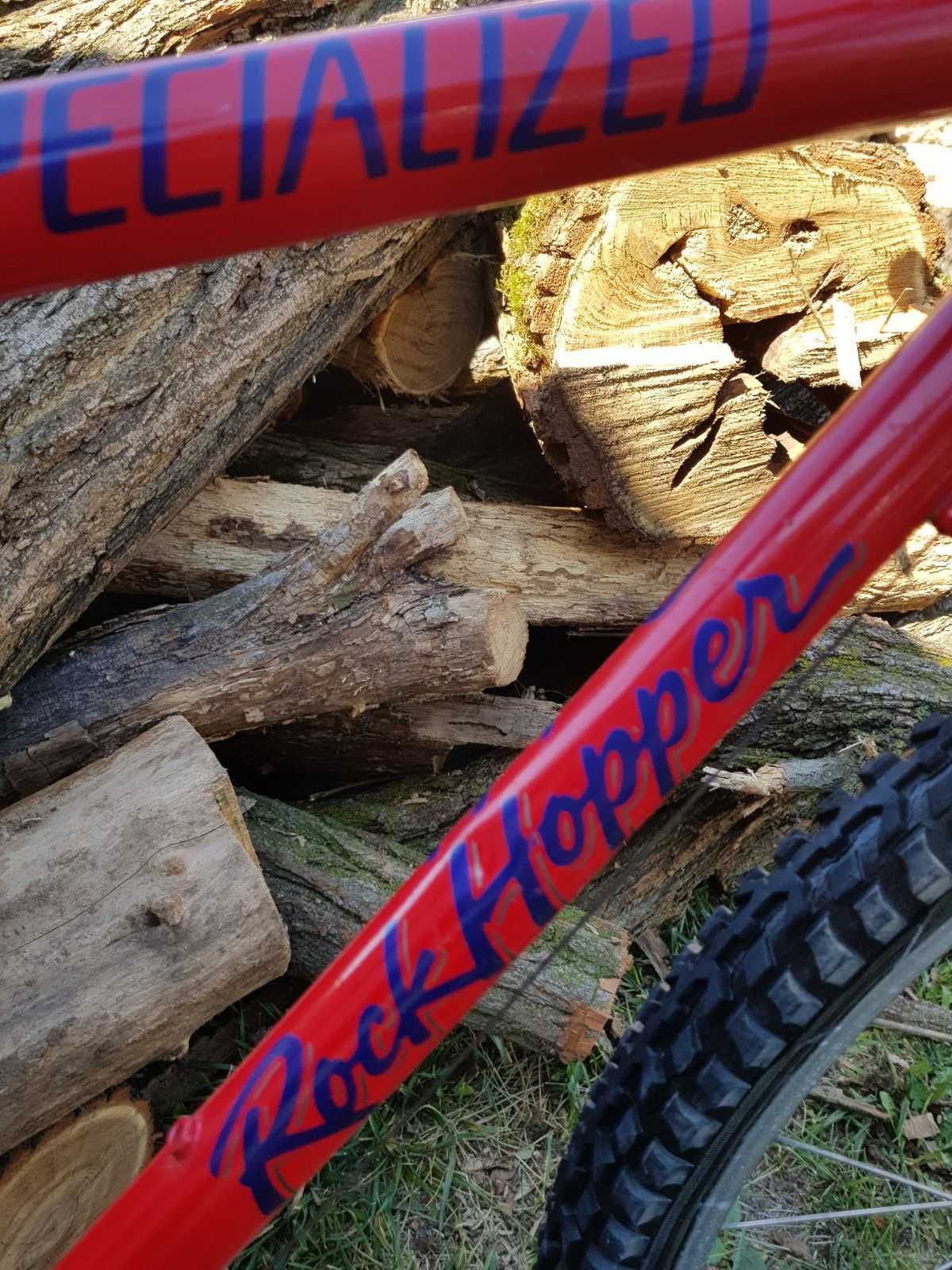 Specialized RockHopper (Old MTB)