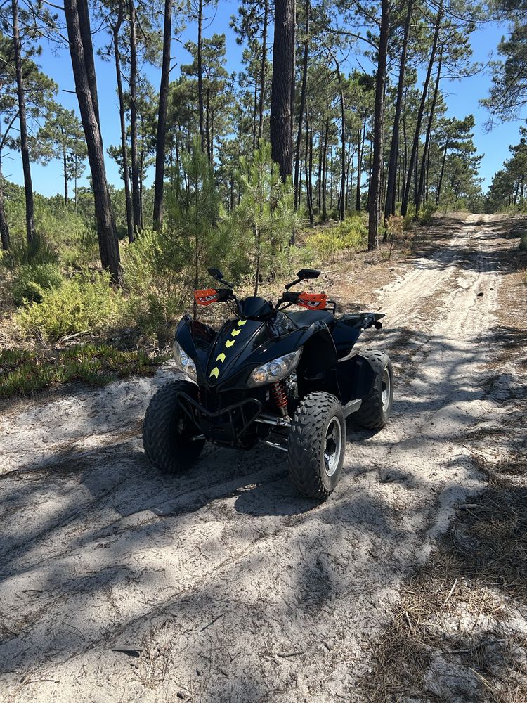 Moto 4 Arctic Cat 4x4