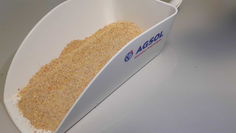 Kukurydza ziarno kiszone gniecione Corn Energy - cena brutto z dostawa