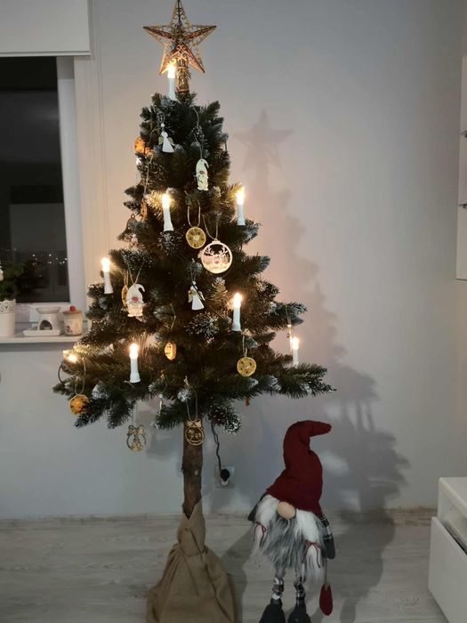 Choinka na pniu 160 cm