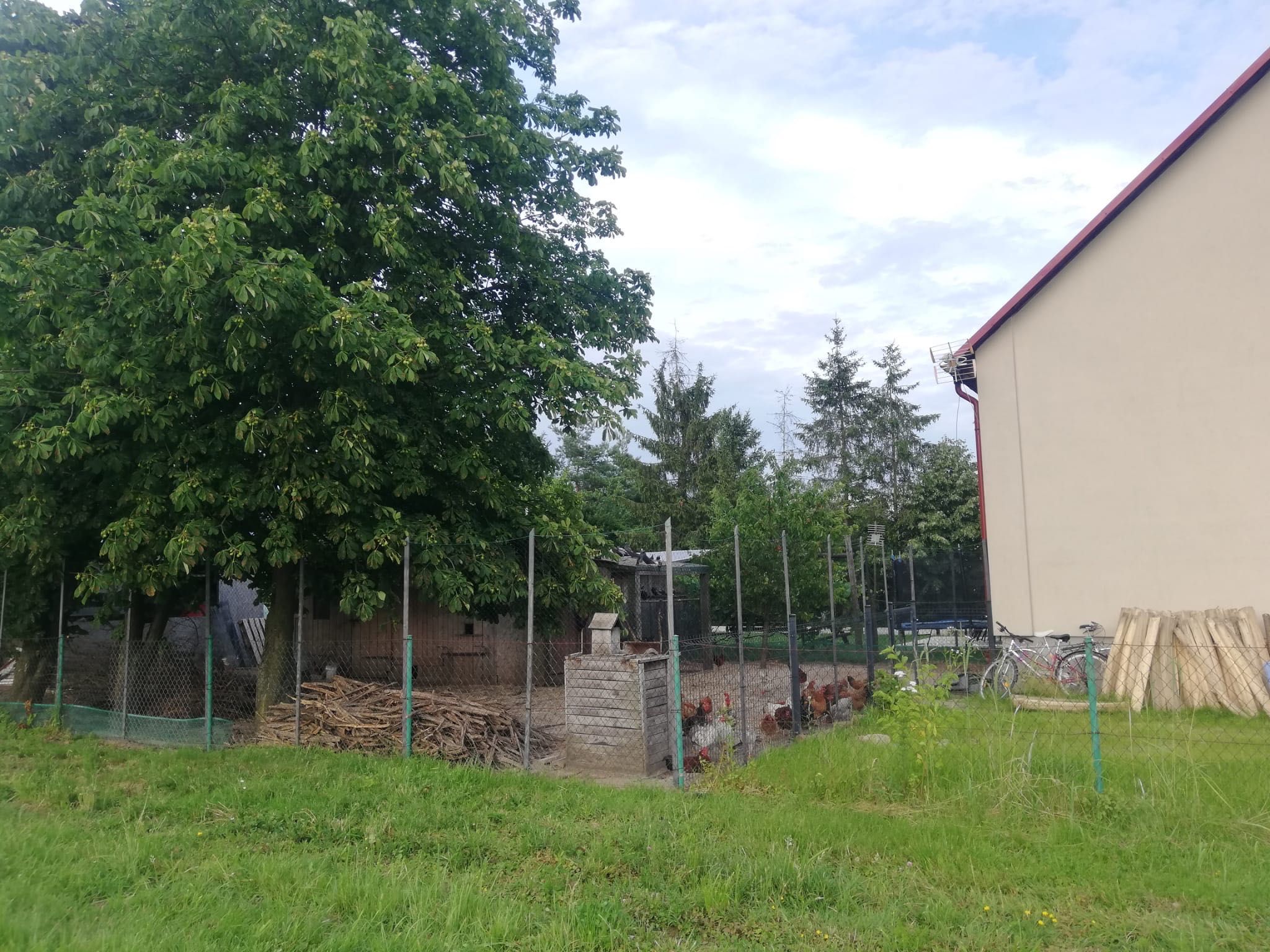 Dom jednorodzinny z tarasem, piwnicą oraz budynkiem gospodarczym