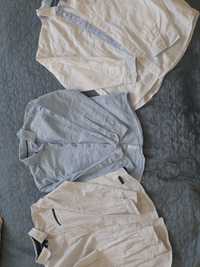 Trzy koszule chłopięce rozmiar 140 Marki coccodrillo, Reserved