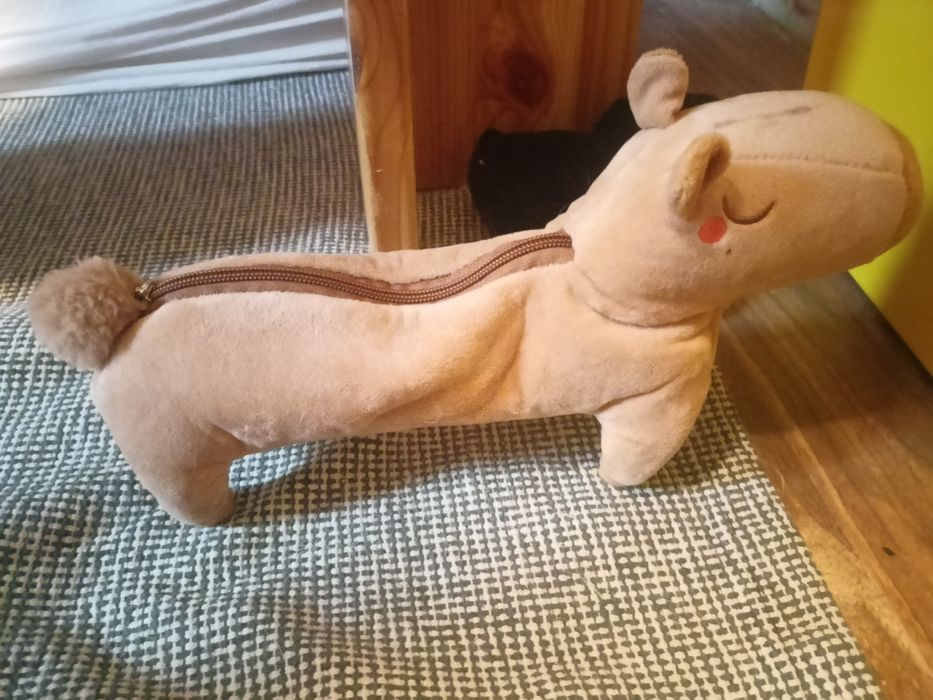 Kapibara piórnik z niespodzianką